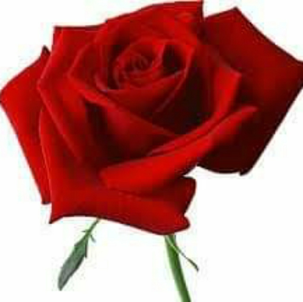 Meet your Posher, Ecula